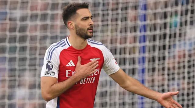 1739632520567079683.png merino.png